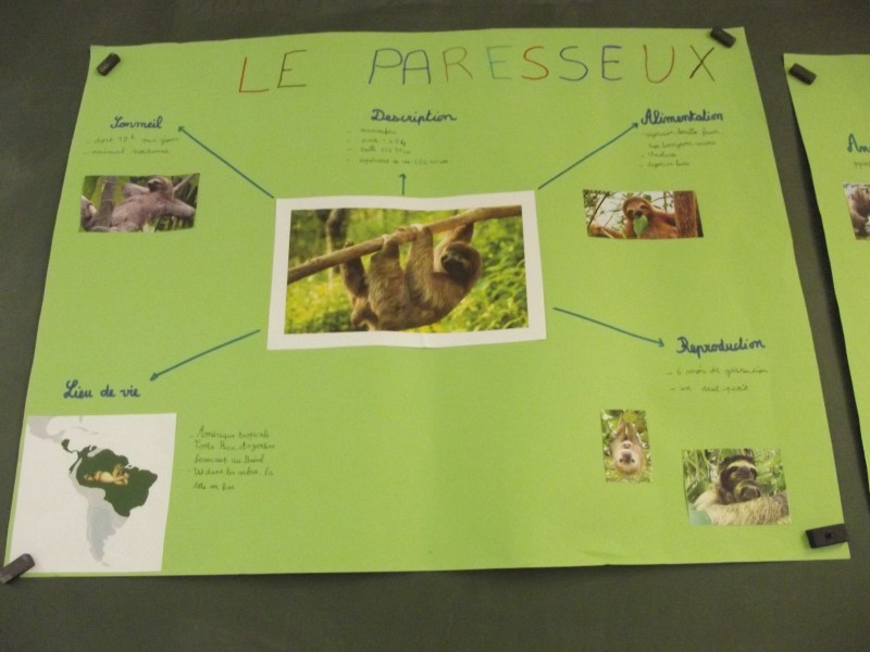 Exposés sur les animaux. Ecole SaintHonoré — free download